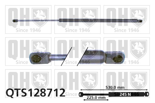 QUINTON HAZELL dujinė spyruoklė, gaubtas QTS128712